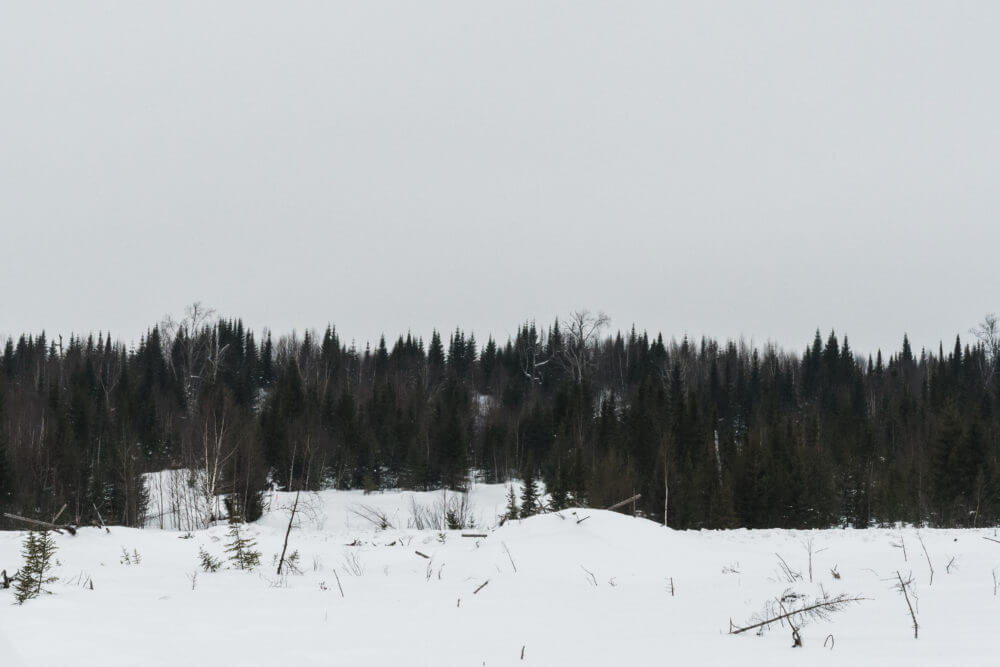 DSC_0980-downsized