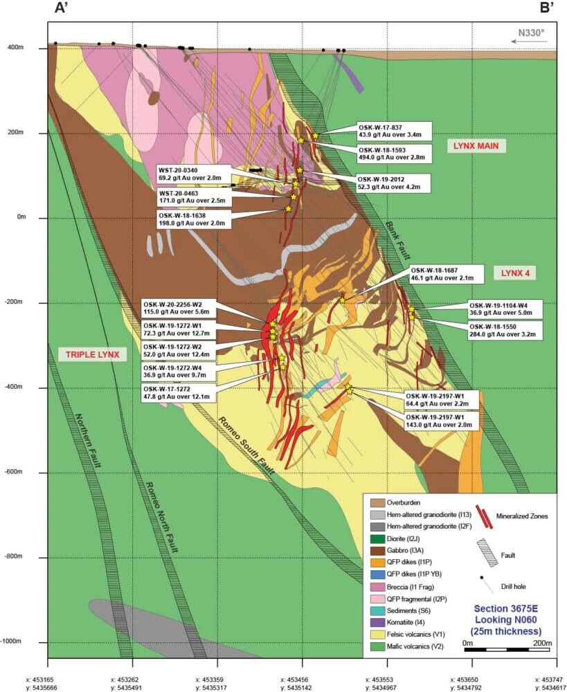 Fig 6_Cross-Section of the Lynx area