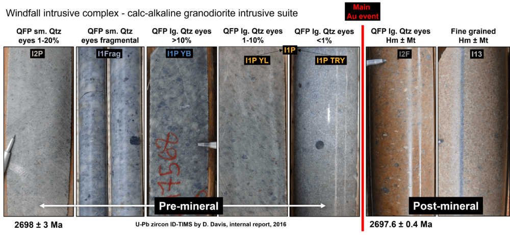 Figure 3 Representative photograhs of QFP intrusive