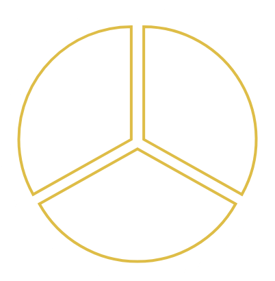 INFOGRAPHIC 1A-svg