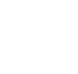 INFOGRAPHIC 1B-svg