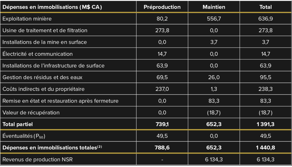 Tableau 5 – Résumé des dépenses en immobilisations