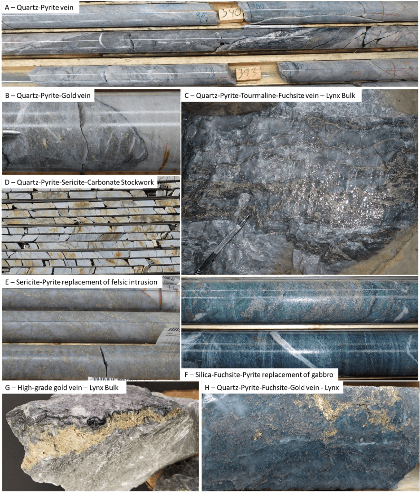 windfall_mineralization@2x